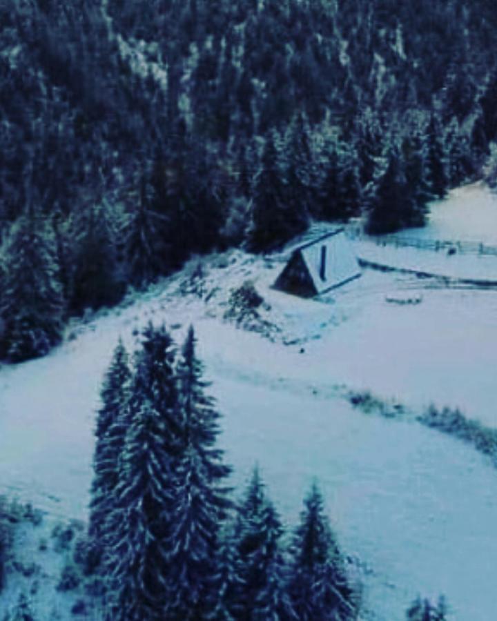 La Koltau A-Frame Hotel Mărişel Exterior foto